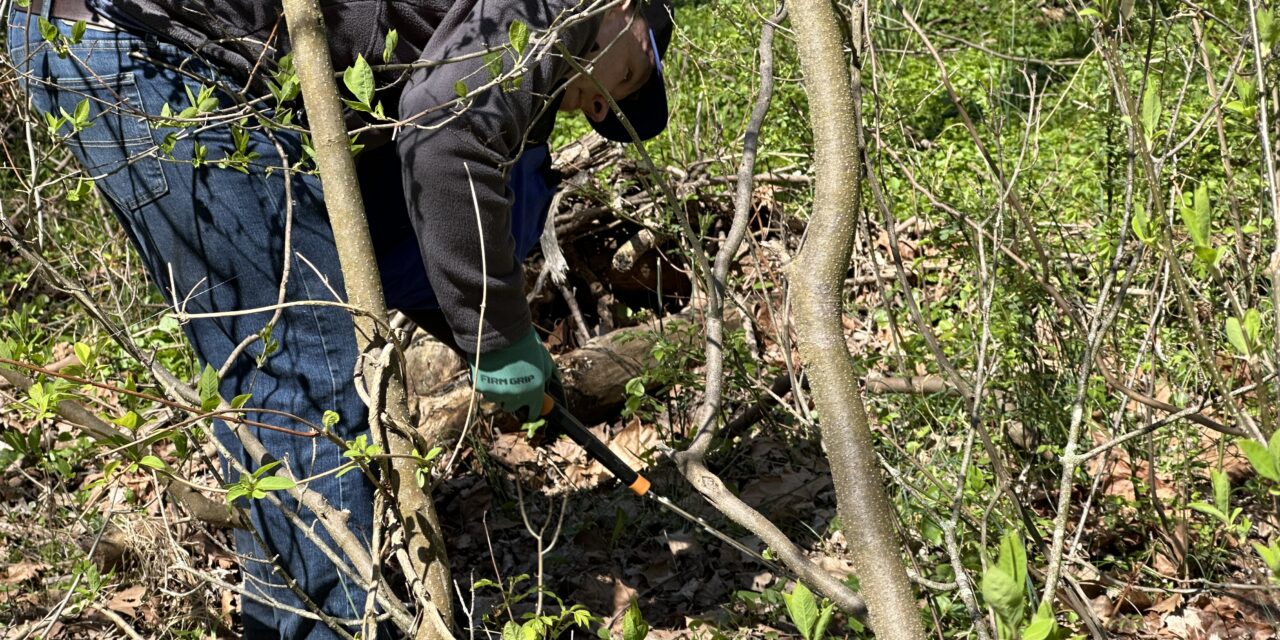 JBT AGV Employees Unite for Earth Day: Nurturing Our Planet Together