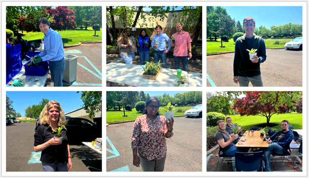 Cultivating a Greener Workspace: Our Desk Plant Potting Event Success Story